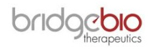 Bridge Biotherapeutics - Top Therapeutics Companies in South Korea Bridge Biotherapeutics